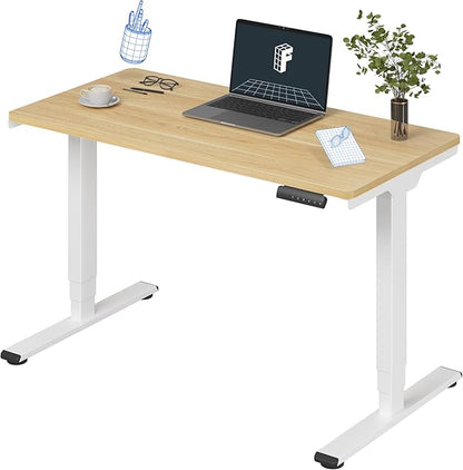 FLEXISPOT E6 3-Stage Dual Motor Electric Standing Desk 48 x 24 Sit Stand Up Desk by FlexiSpot