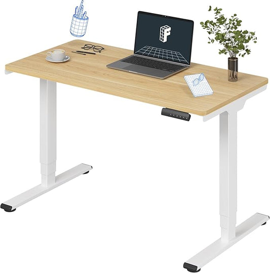 FLEXISPOT E6 3-Stage Dual Motor Electric Standing Desk 48 x 24 Sit Stand Up Desk by FlexiSpot