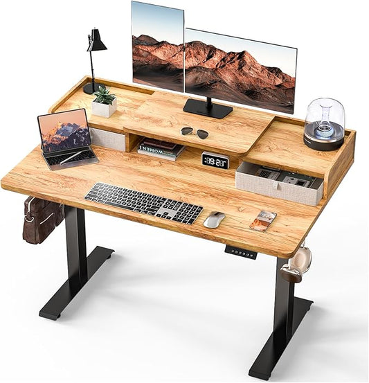 Kingant 48 x 30 Inch Electric Standing Desk by KINGANT