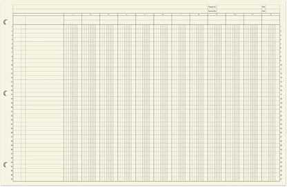 BookFactory Ledger Sheets/Large 12 Column Accounting Ledger Columnar Loose Leaf - Image 2