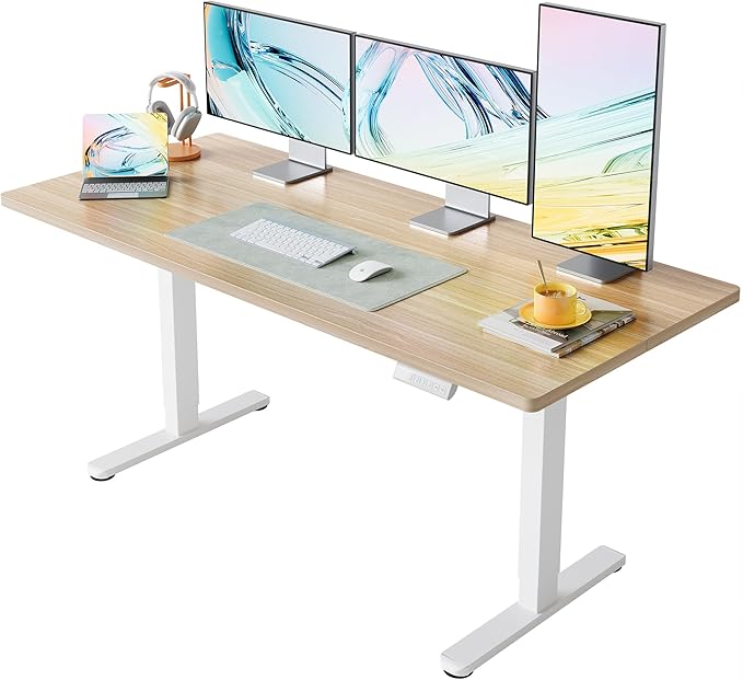 HUANUO 63 x 28 inch Electric Standing Desk Adjustable Height, 4 Memory Height by HUANUO