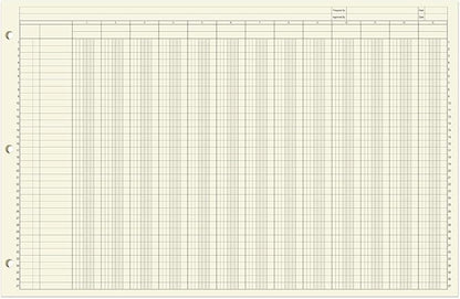BookFactory Ledger Sheets/Large 13 Column Accounting Ledger Columnar Loose Leaf - Image 2