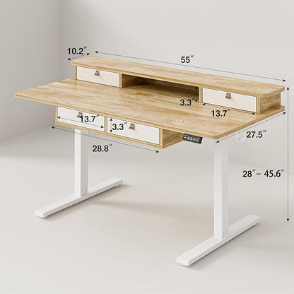 Grandder 55 x 28 inch Electric Standing Desk - Image 2