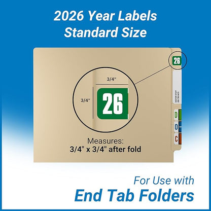 2026 Year Stickers, Doctor Stuff 2026 Chart Stickers, Safeguard Style Ringbook - Image 5