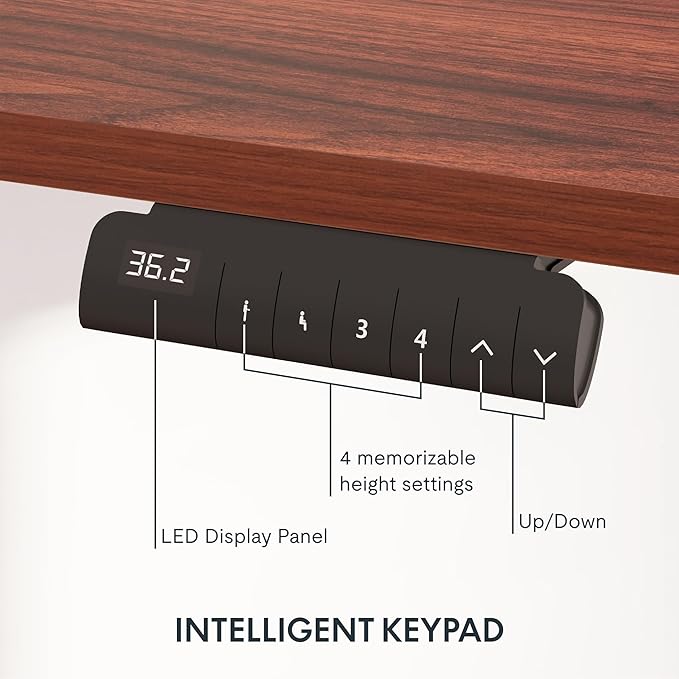 FLEXISPOT E6 3-Stage Dual Motor Electric Standing Desk 48 x 24 Sit Stand Up Desk - Image 3