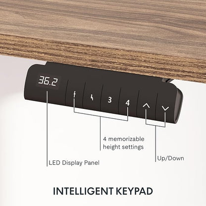 FLEXISPOT E6 3-Stage Dual Motor Electric Standing Desk 55 x 28 Sit Stand Up Desk - Image 4