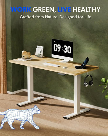 FLEXISPOT EN1 Solid Wooden Single-Piece Standing Desk, 48 x 24 Inches Sit Stand - Image 2