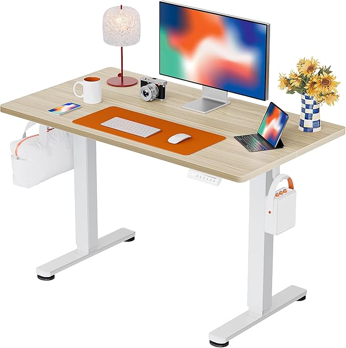 ErGear Electric Standing Desk, 44 x 24 Inches Height Adjustable Stand up Desk by ErGear