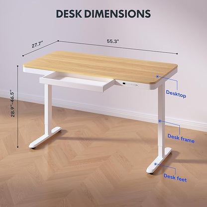 FLEXISPOT 55" Electric Standing Desk - Image 3