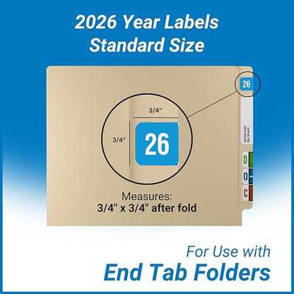 2026 Year Stickers, Doctor Stuff 2026 Chart Stickers, Light Blue Color Coded - Image 6