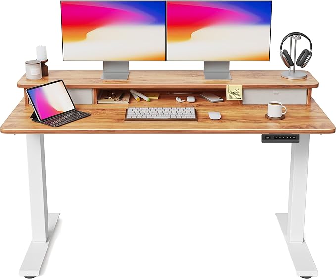 FEZIBO 55 x 24 Inch Height Adjustable Electric Standing Desk by FEZIBO