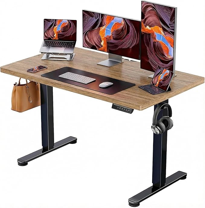 ErGear Height Adjustable Electric Standing Desk, 47.2 x 23.6 Inches Sit Stand by ErGear