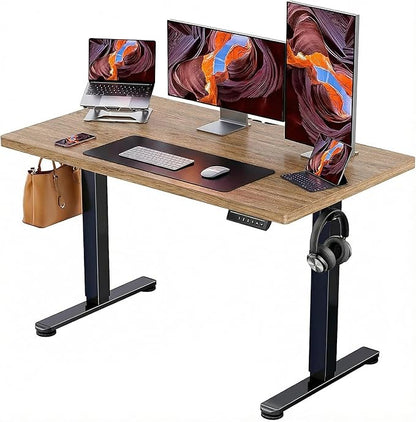 ErGear Height Adjustable Electric Standing Desk, 47.2 x 23.6 Inches Sit Stand by ErGear