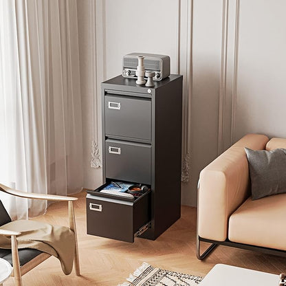 Fesbos Vertical File Cabinets - Image 7