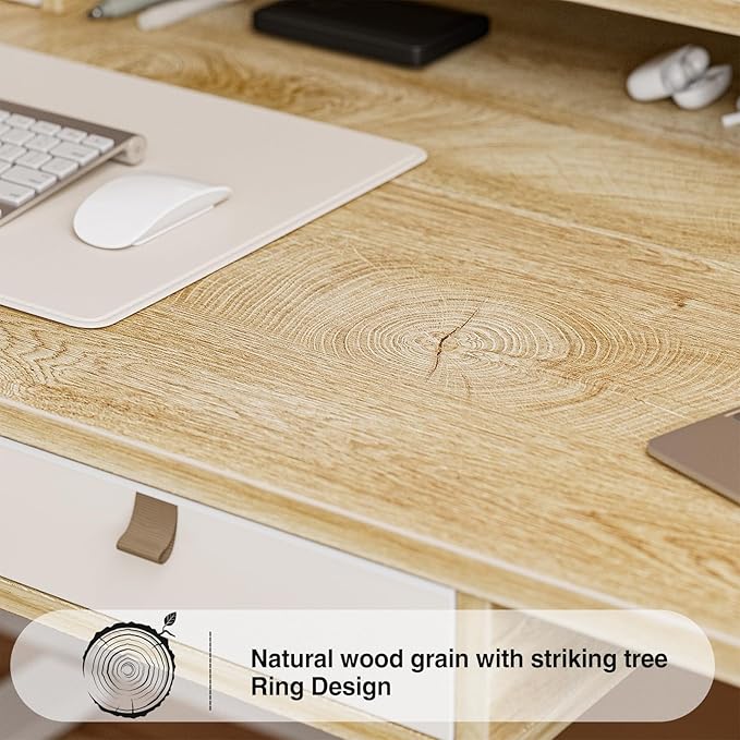 Grandder 47 Inch Electric Standing Desk - Image 9