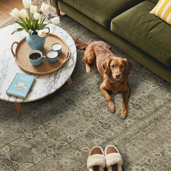 GENIMO 6x9 Area Rugs for Living Room, Machine Washable Non Slip Vintage Rugs - Image 3