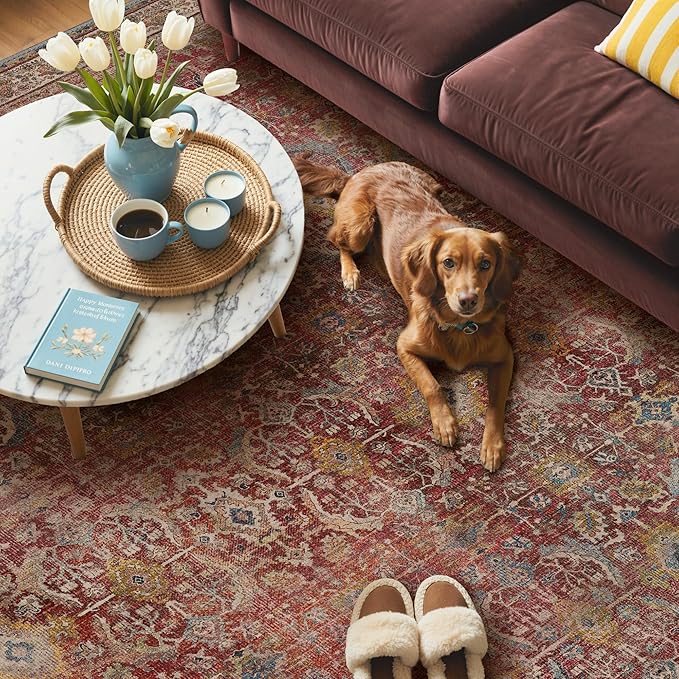 GENIMO 6x9 Area Rugs for Living Room, Machine Washable Non Slip Vintage Rugs - Image 3