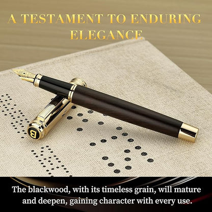 BEILUNER 316 Fountain Pen, Stunning Luxury Blackwood, 24K Gilded Nib, Gorgeous - Image 4
