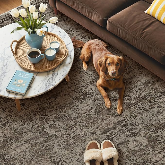 GENIMO 5x7 Area Rug Machine Washable Boho Rug - Image 3