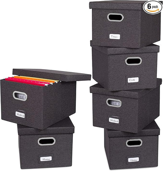 Internet's Best Collapsible File Storage Organizer by BIRDROCKHOME