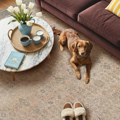 GENIMO 6x9 Area Rugs for Living Room, Machine Washable Non Slip Vintage Rugs - Image 3