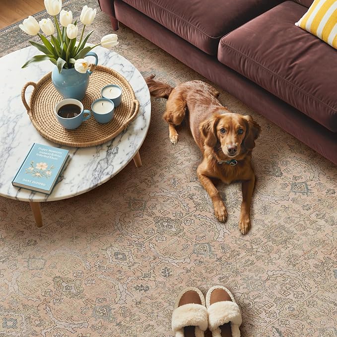GENIMO 8x10 Area Rugs for Living Room, Machine Washable Non Slip Vintage Rugs - Image 3